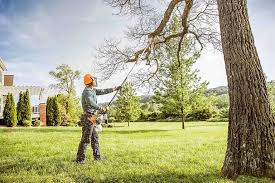 Best Aeration Services  in Marsing, ID